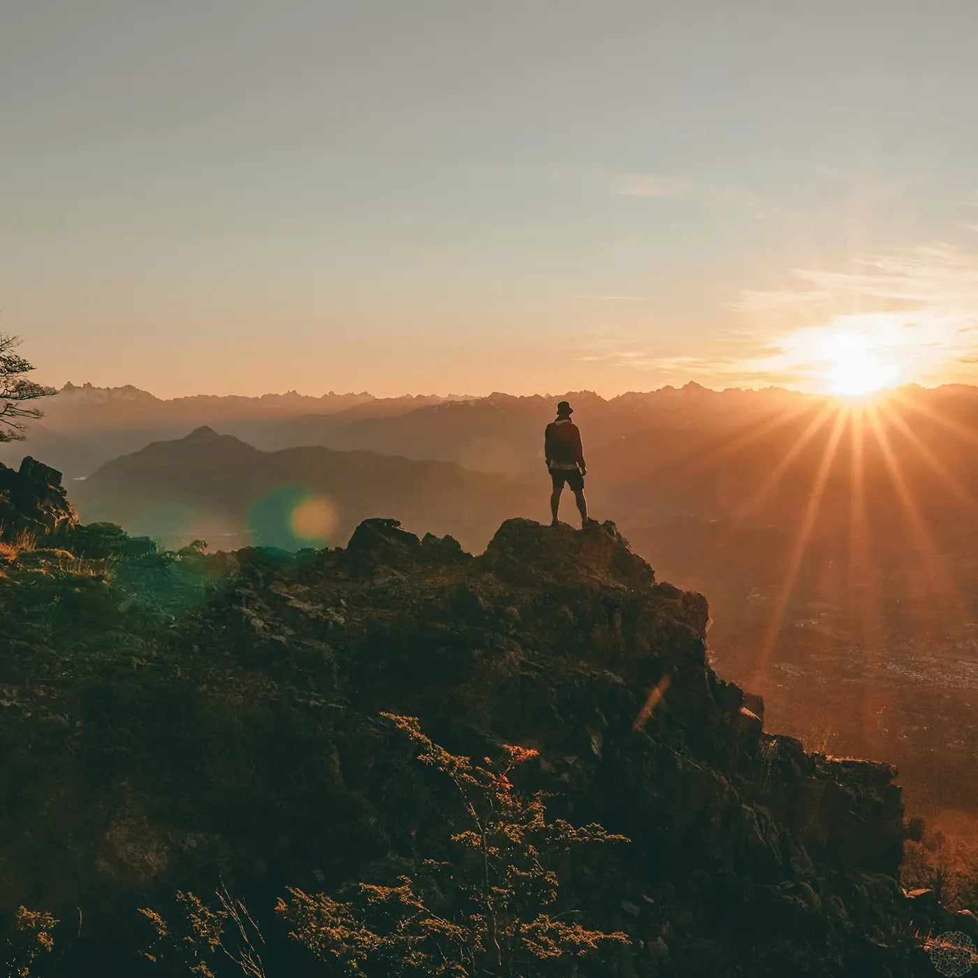 Starting The Year Strong, And Supplemented