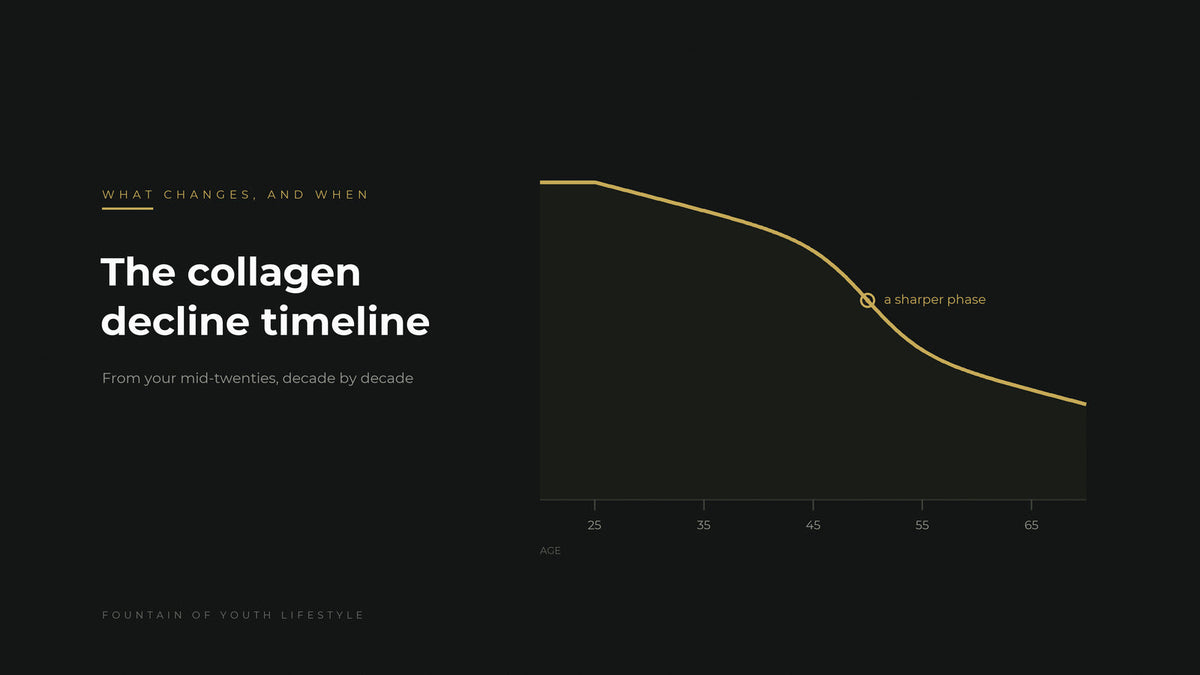 The collagen decline timeline - collagen-making capacity from age 25 onwards, Fountain of Youth Lifestyle