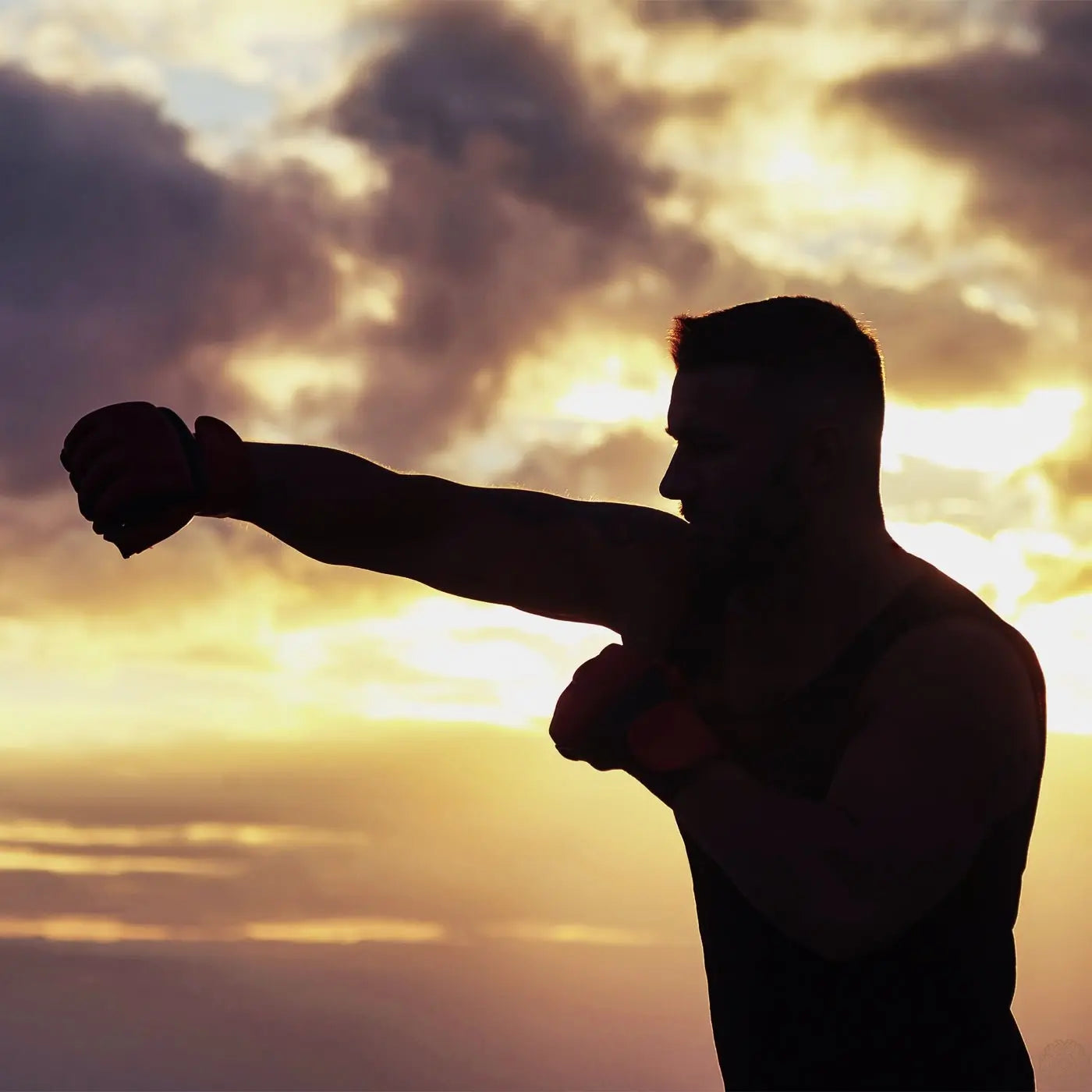 The Science Beyond The Surface: Muscles, Joints, and Energy - Fountain of Youth Lifestyle - Australia