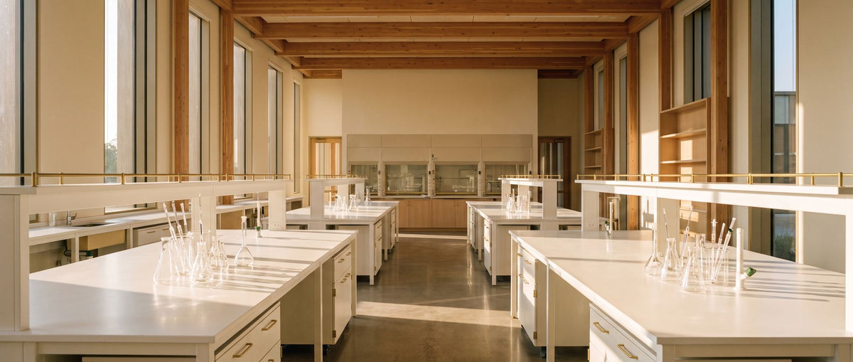 A university pharmaceutical sciences laboratory in afternoon light